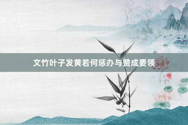 文竹叶子发黄若何惩办与赞成要领
