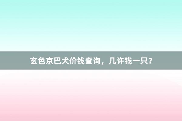 玄色京巴犬价钱查询，几许钱一只？